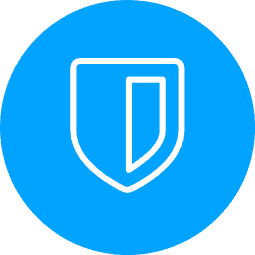 Shield Icon